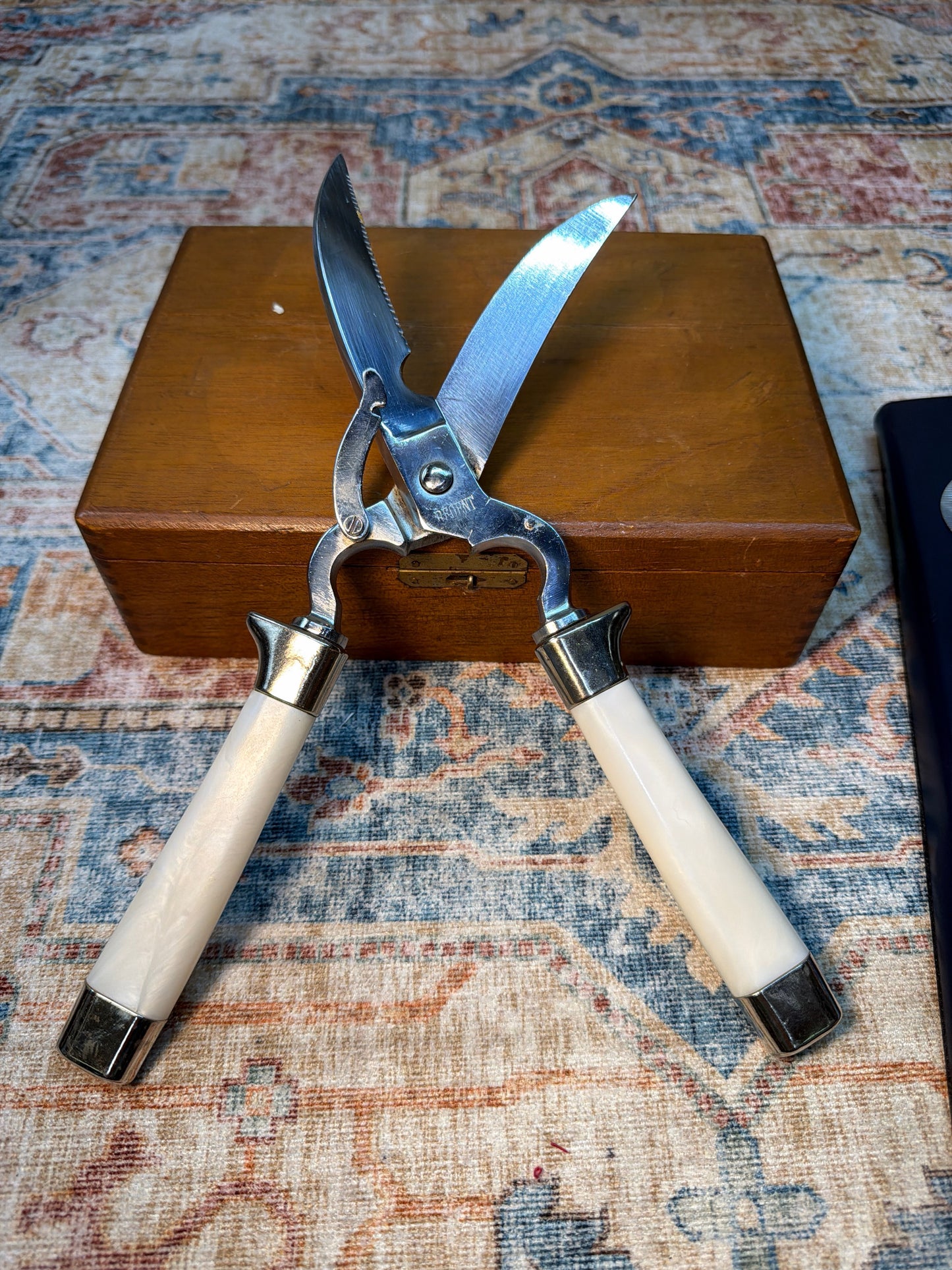 VINTAGE REGENT ITALY POULTRY SHEARS