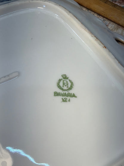 PM BAVARIA HAND PAINTED PLATE