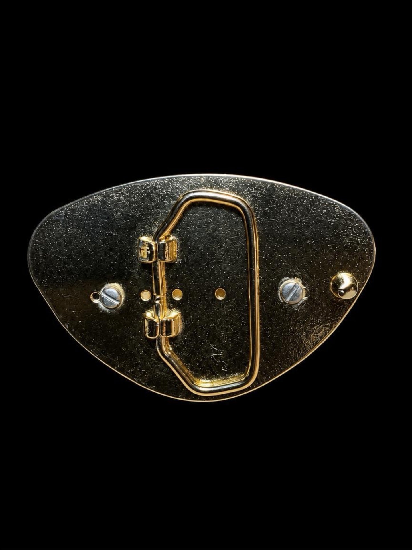 TIGERS EYE BELT BUCKLE