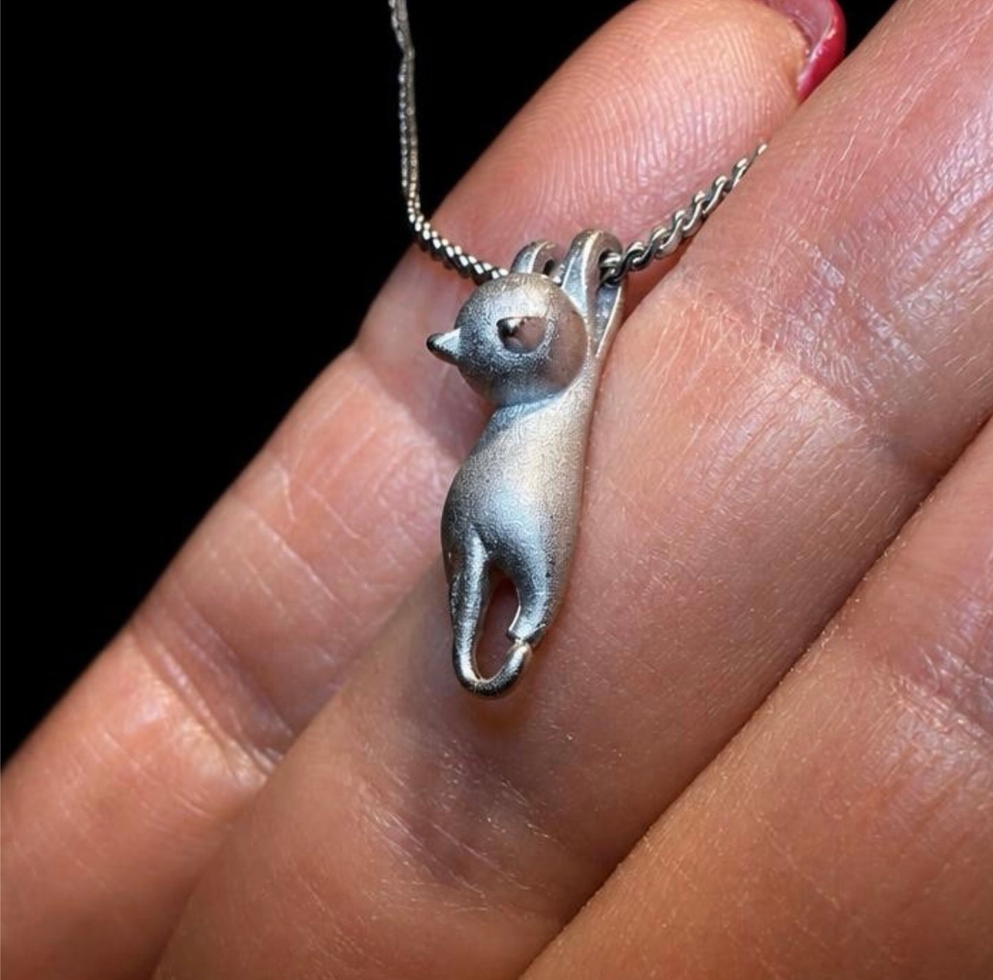CAT "HANGING AROUND"