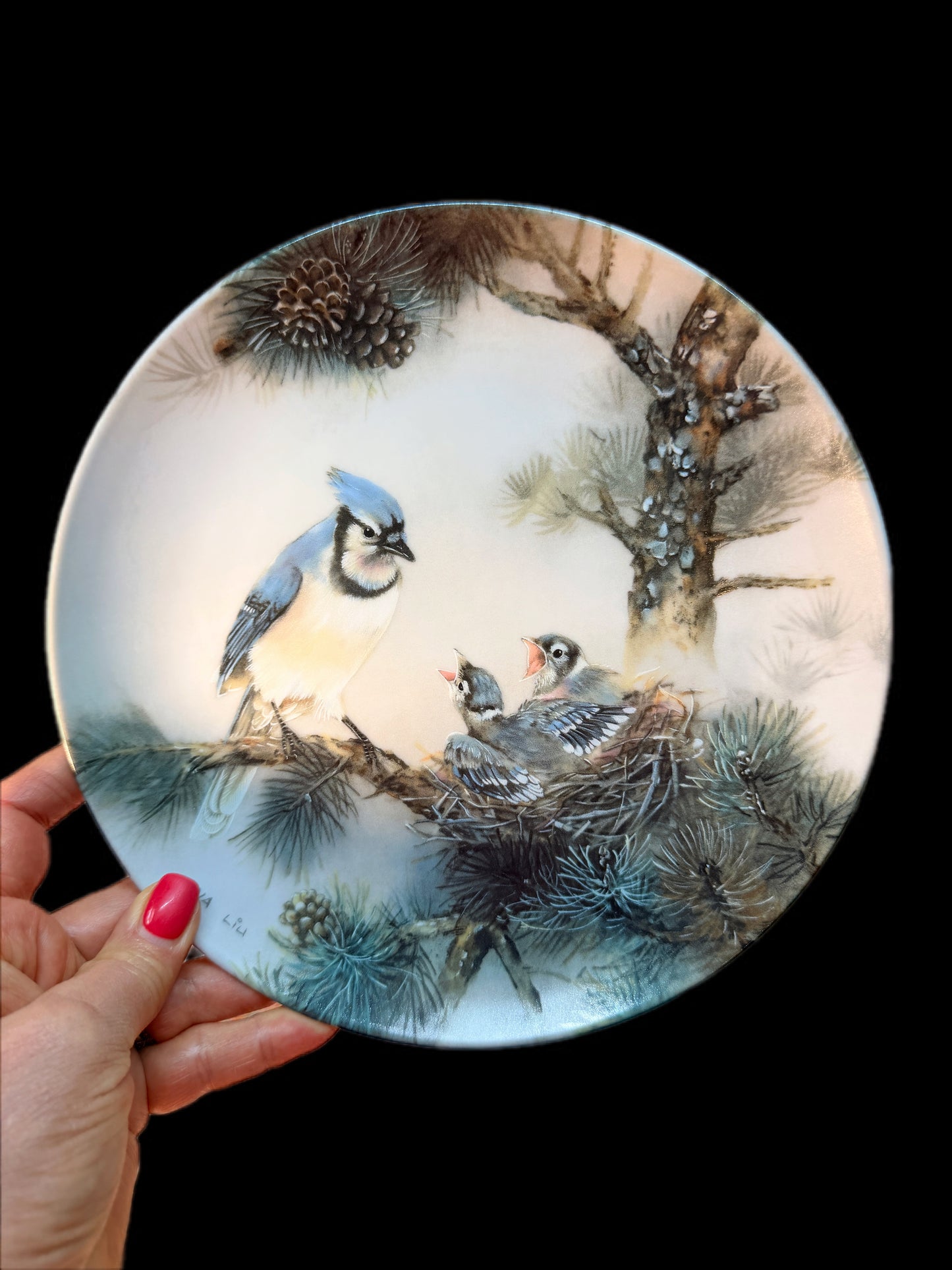 TEN 1990 LENA LIU'S NATURE'S POETRY BIRD FAMILY PLATES
