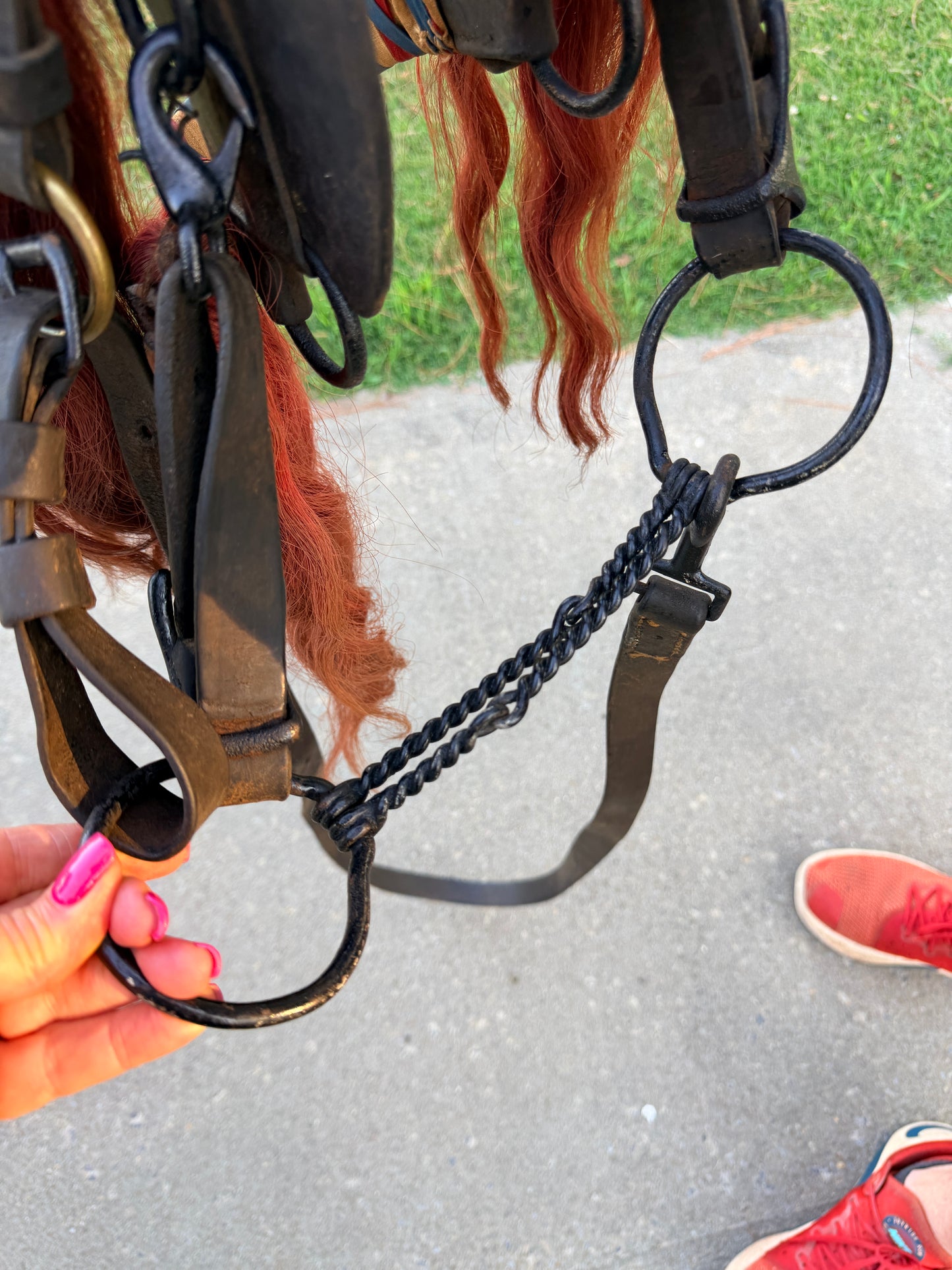 ANTIQUE LEATHER BRIDLE LIKELY FROM THE 1800'S